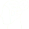 EEG